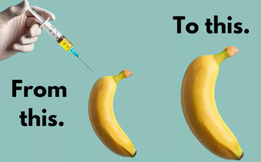 What penis-lengthening surgeries are available? From a tiny penis to a battle-ready package: surgeries you need to know about