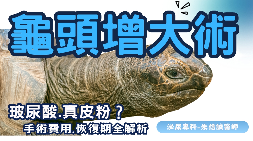 龜頭增大5分鐘全指南：玻尿酸與真皮粉怎麼選？手術流程、恢復期、費用一次看懂！